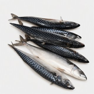 Скумбрия 400-600